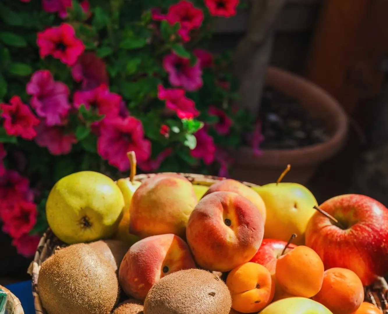 Frühstückspension B&B L'Albero Dei Limoni Portoscuso Italien